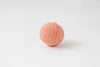 Seaberry & Rose Clay Bath Bomb - DIGS