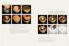 Seafood Simple - DIGS