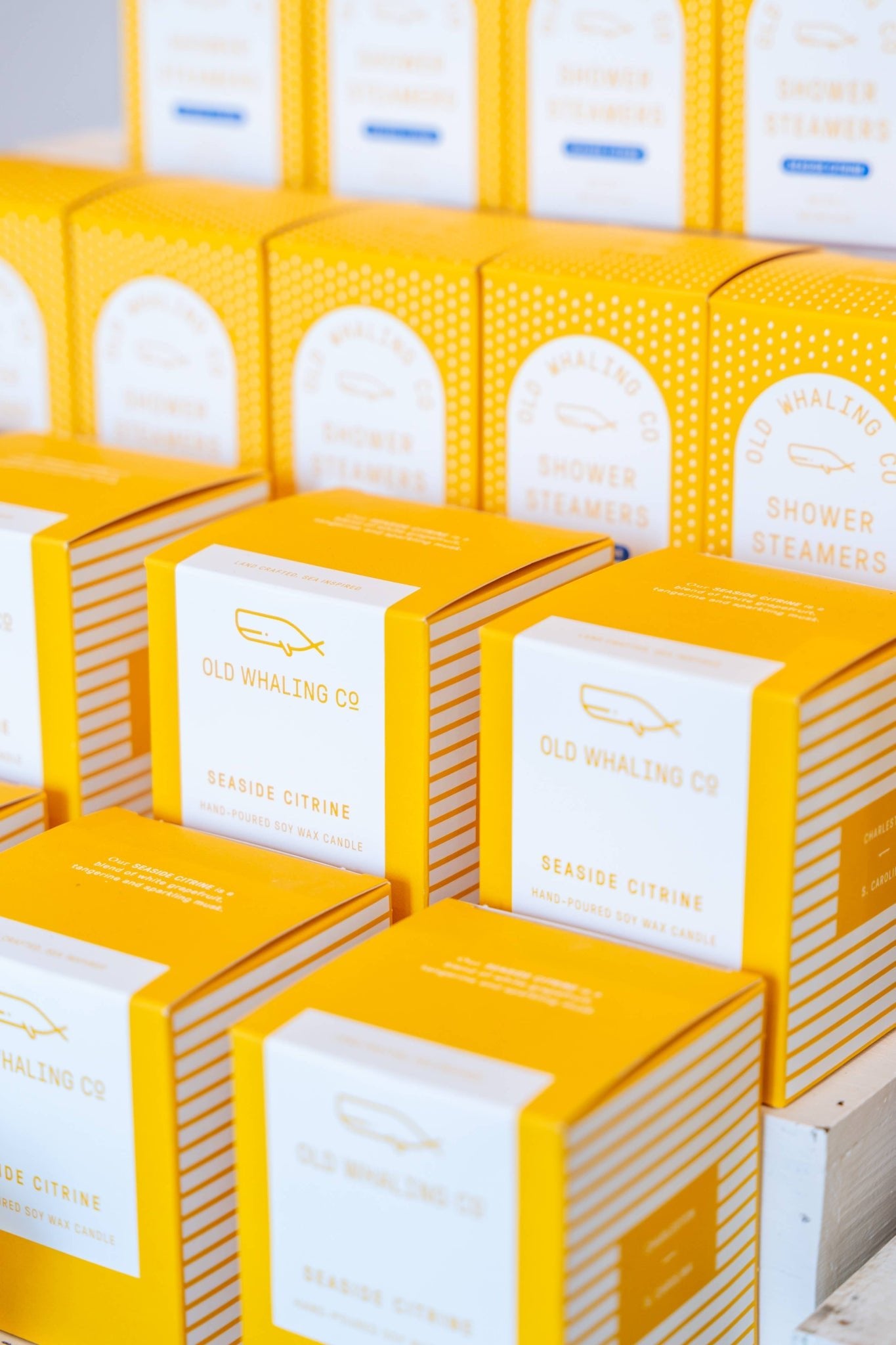 Seaside Citrine® Candle - DIGS