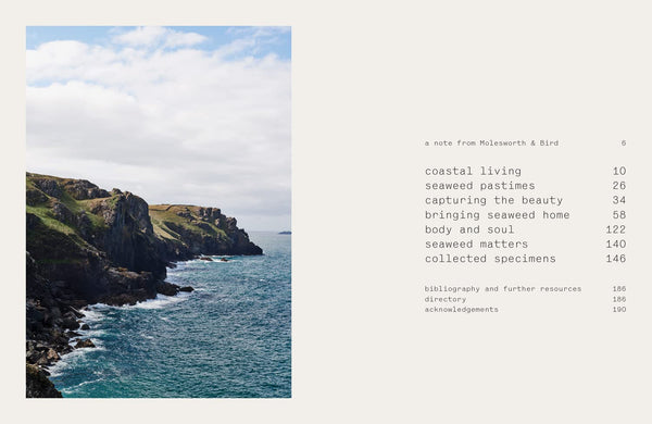 Seaweed: Foraging, Collecting, Pressing - DIGS