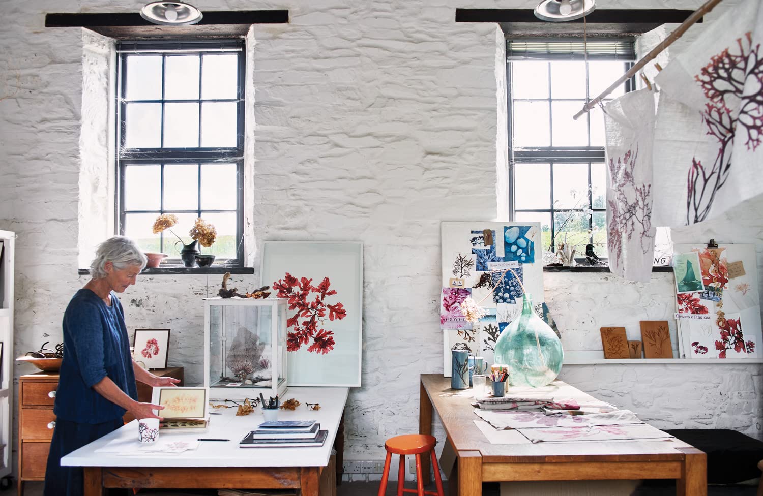 Seaweed: Foraging, Collecting, Pressing - DIGS