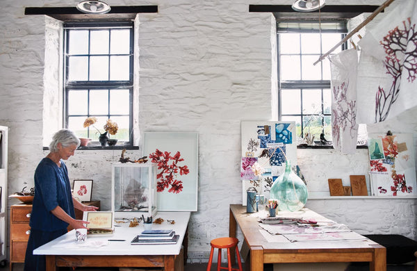 Seaweed: Foraging, Collecting, Pressing - DIGS