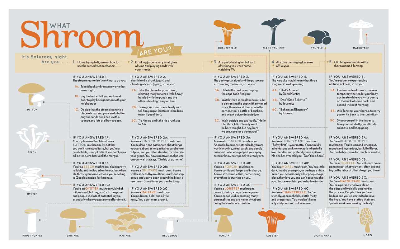 Shroom by Becky Selengut - DIGS