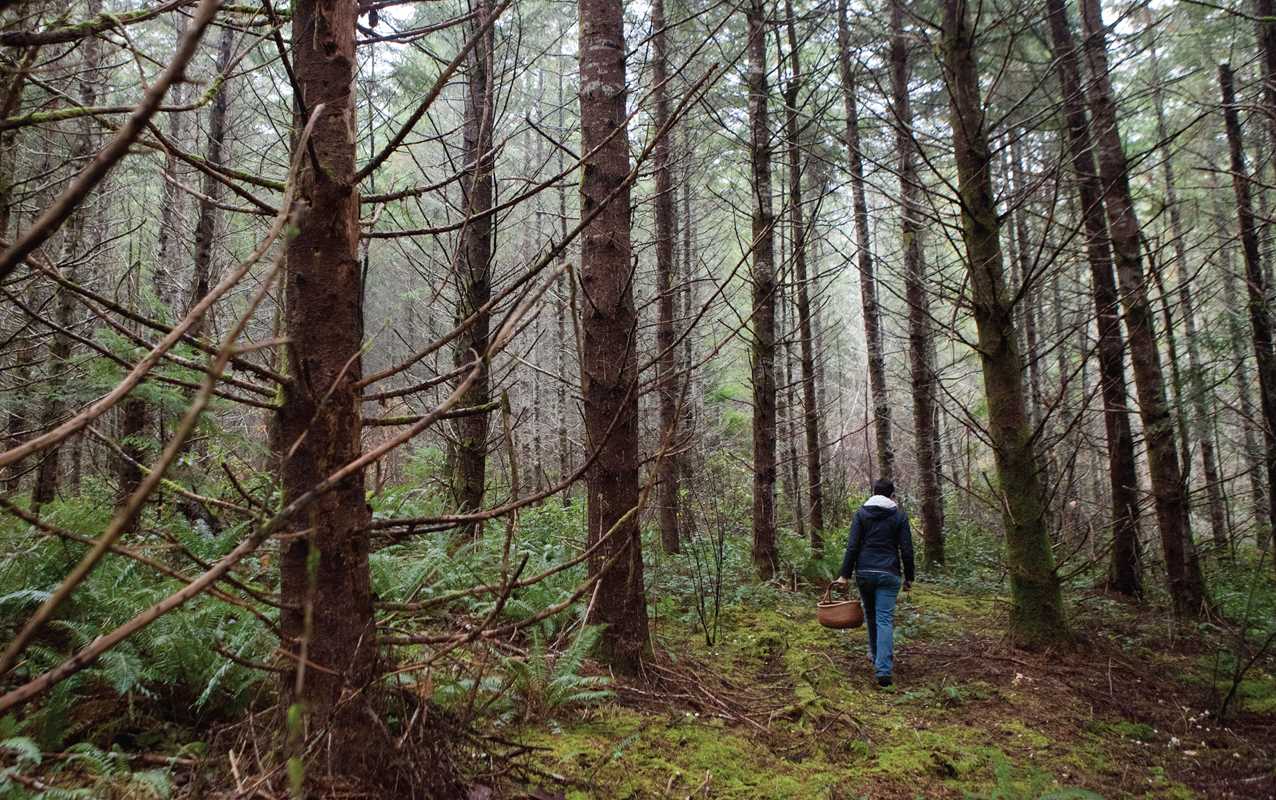 Shroom by Becky Selengut - DIGS