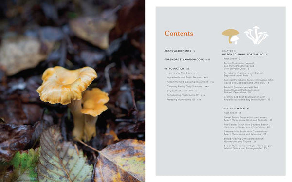 Shroom by Becky Selengut - DIGS