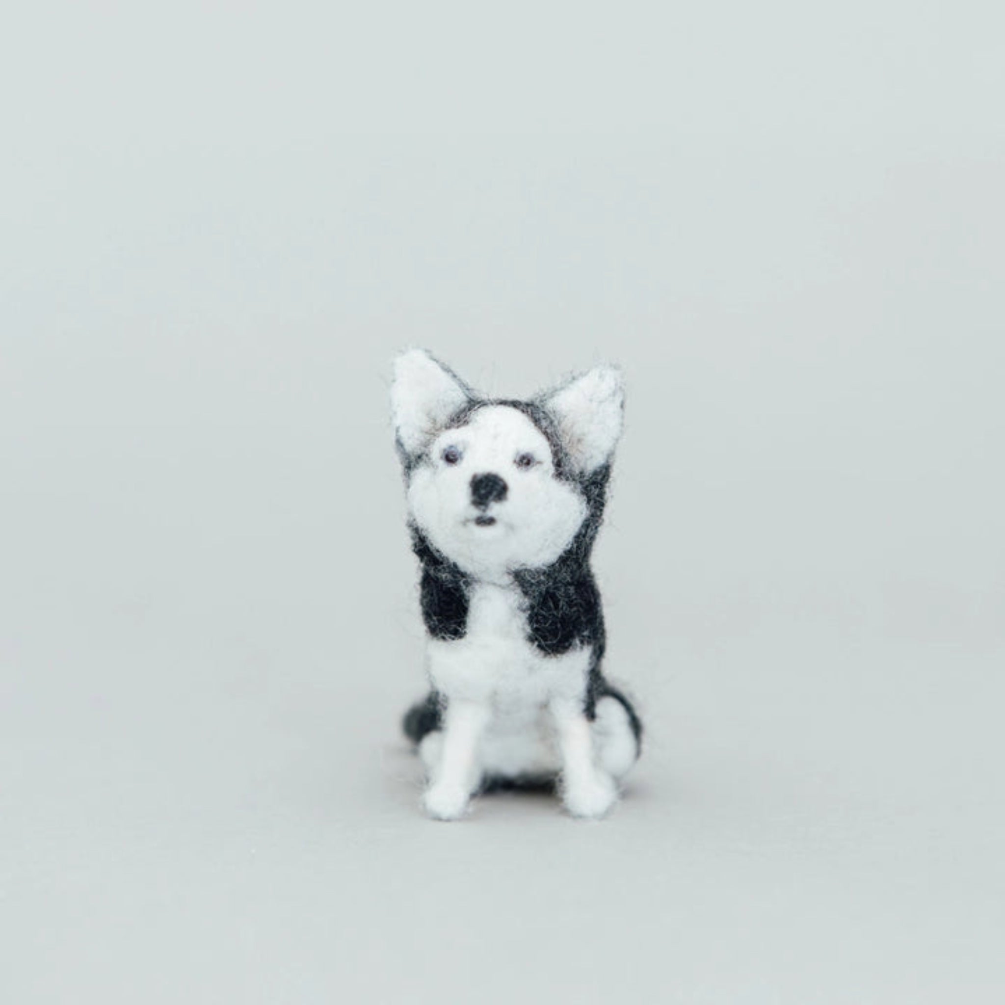 Siberian Husky Needle-Felting Kit - DIGS