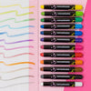 Silky Window Crayons - 12 colors - DIGS
