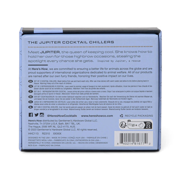 Silver Jupiter Cocktail Chillers, Set Of 2 - DIGS