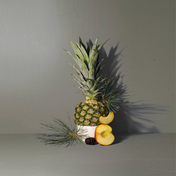 Skinny Dipping Mini Candle - DIGS