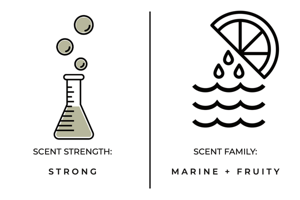 Skinny Dipping Mini Candle - DIGS