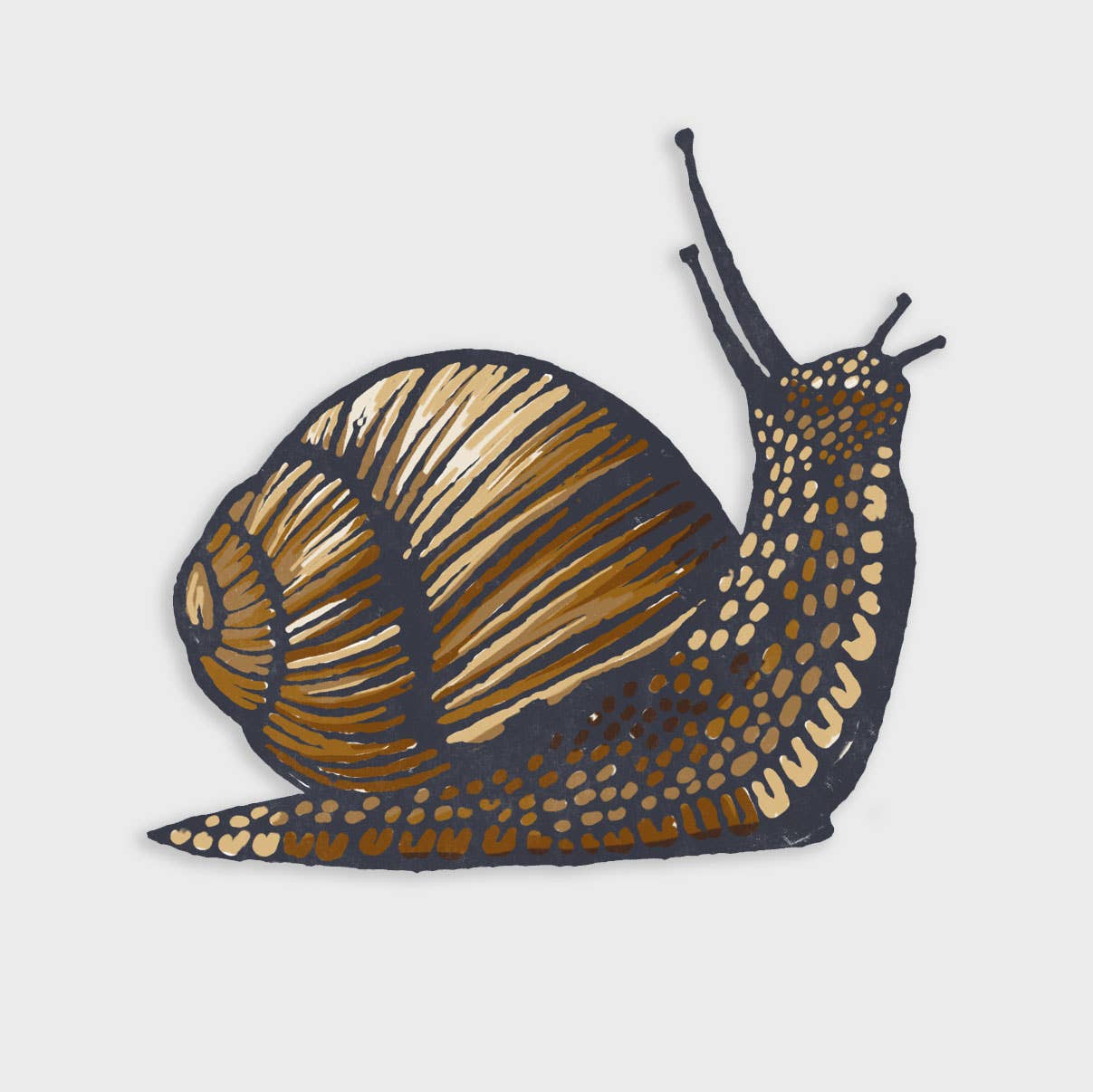 Snail Sticker - DIGS