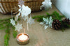 Snowstar Tealight Spinner - DIGS