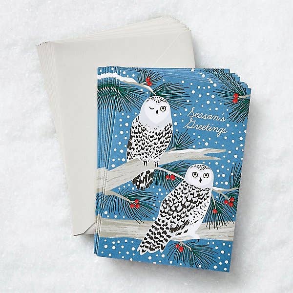 Snowy Owls Holiday Card Boxed Set - DIGS