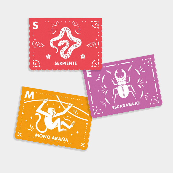 Spanish - English ABC Flash Cards - DIGS