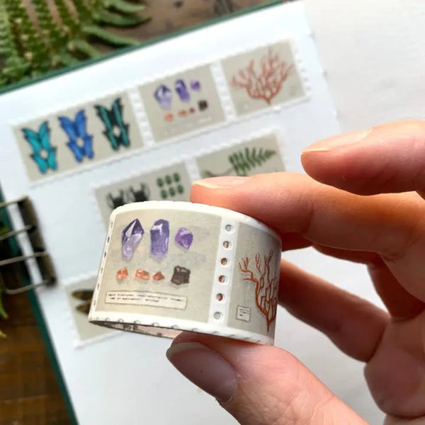 Specimen Drawer Stamp Washi Tape - DIGS