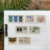 Specimen Drawer Stamp Washi Tape - DIGS