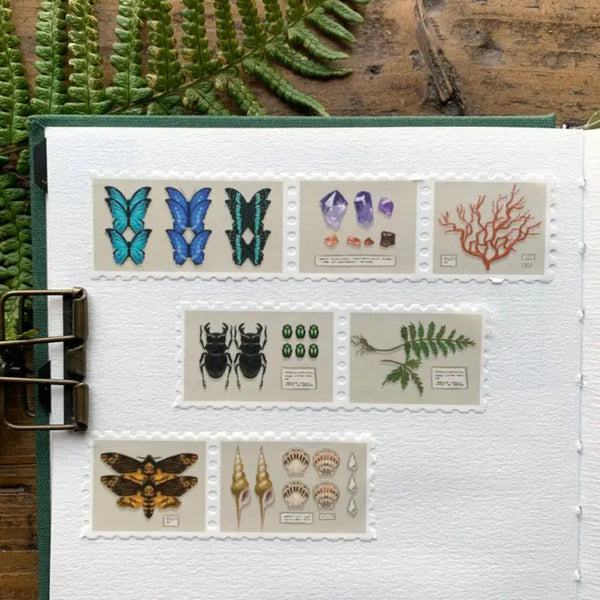 Specimen Drawer Stamp Washi Tape - DIGS