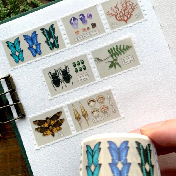 Specimen Drawer Stamp Washi Tape - DIGS
