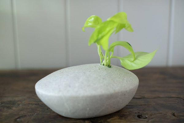 Speckled Ceramic Single Pod Vase - DIGS