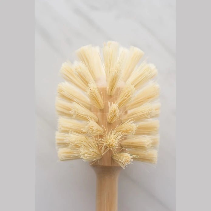 Sphere Dish Brush - DIGS