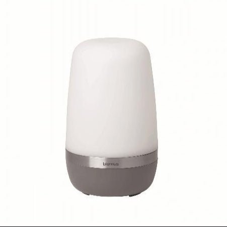 SPIRIT Indoor/Outdoor LED Lamp - DIGS