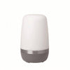 SPIRIT Indoor/Outdoor LED Lamp - DIGS