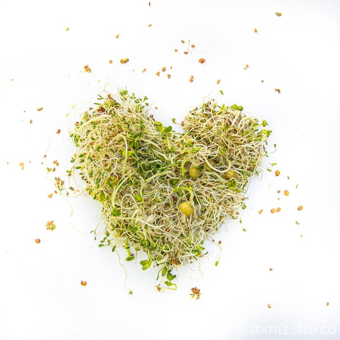 Sprouting Starter Kit - DIGS
