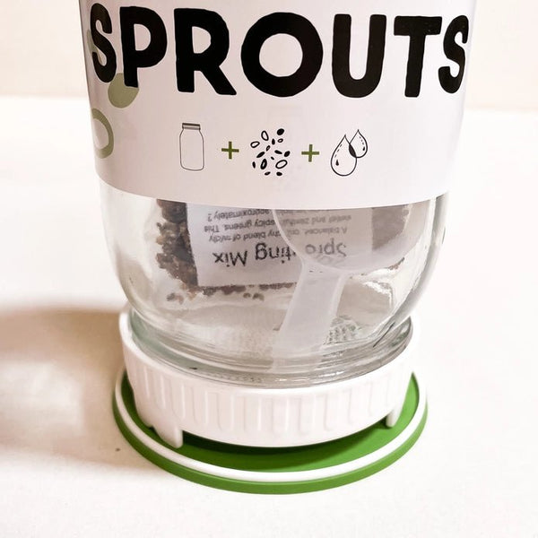 Sprouting Starter Kit - DIGS