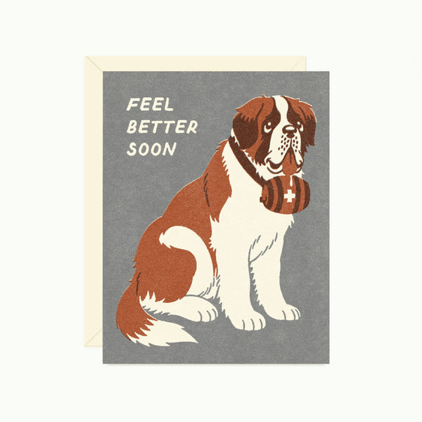 St. Bernard Get Well Greeting Card - DIGS