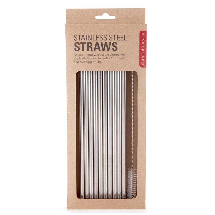 Stainless Steel Straws, Set of 10 - DIGS
