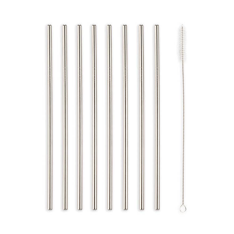 Stainless Steel Straws, Set of 10 - DIGS