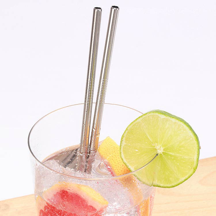 Stainless Steel Straws, Set of 10 - DIGS
