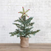 Star with Holly Leaves/Berries Tree Topper - DIGS