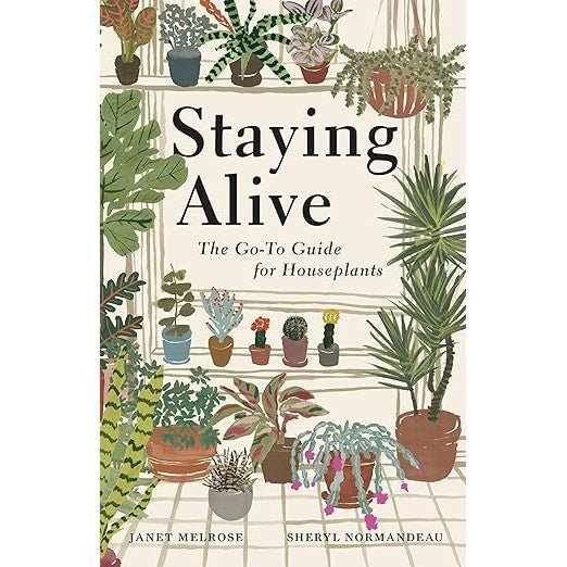 Staying Alive: The Go - To Guide for Houseplants - DIGS