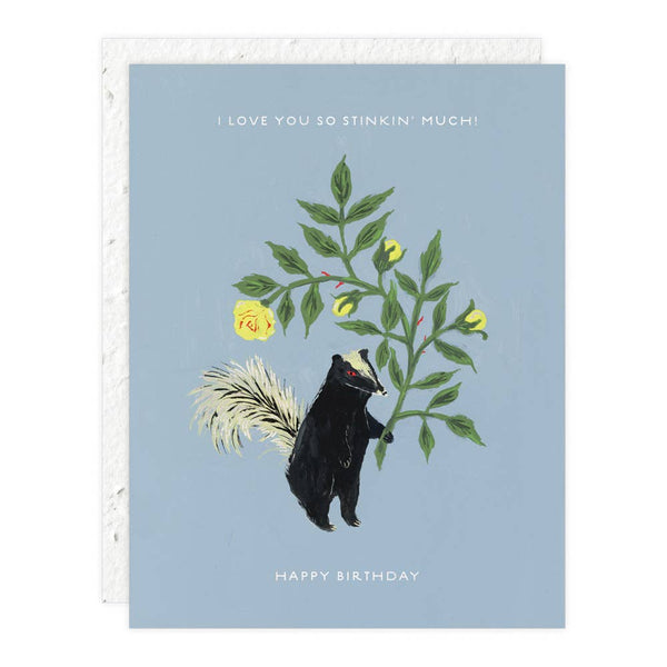 Stinker Birthday Card - DIGS