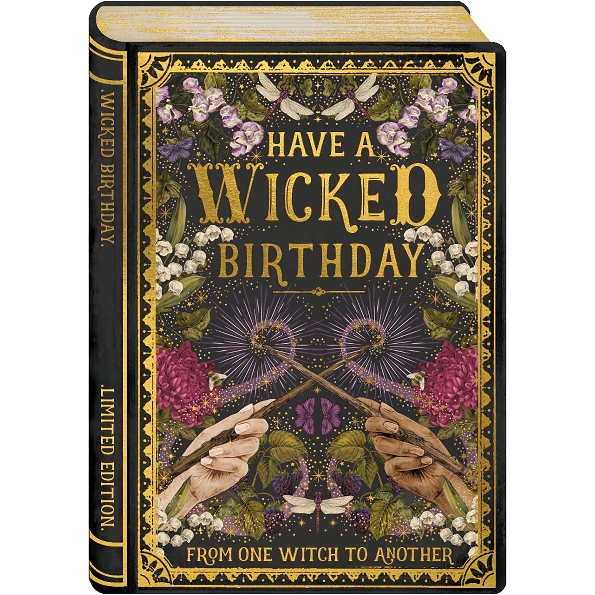 Storybook Wicked Birthday Card - DIGS