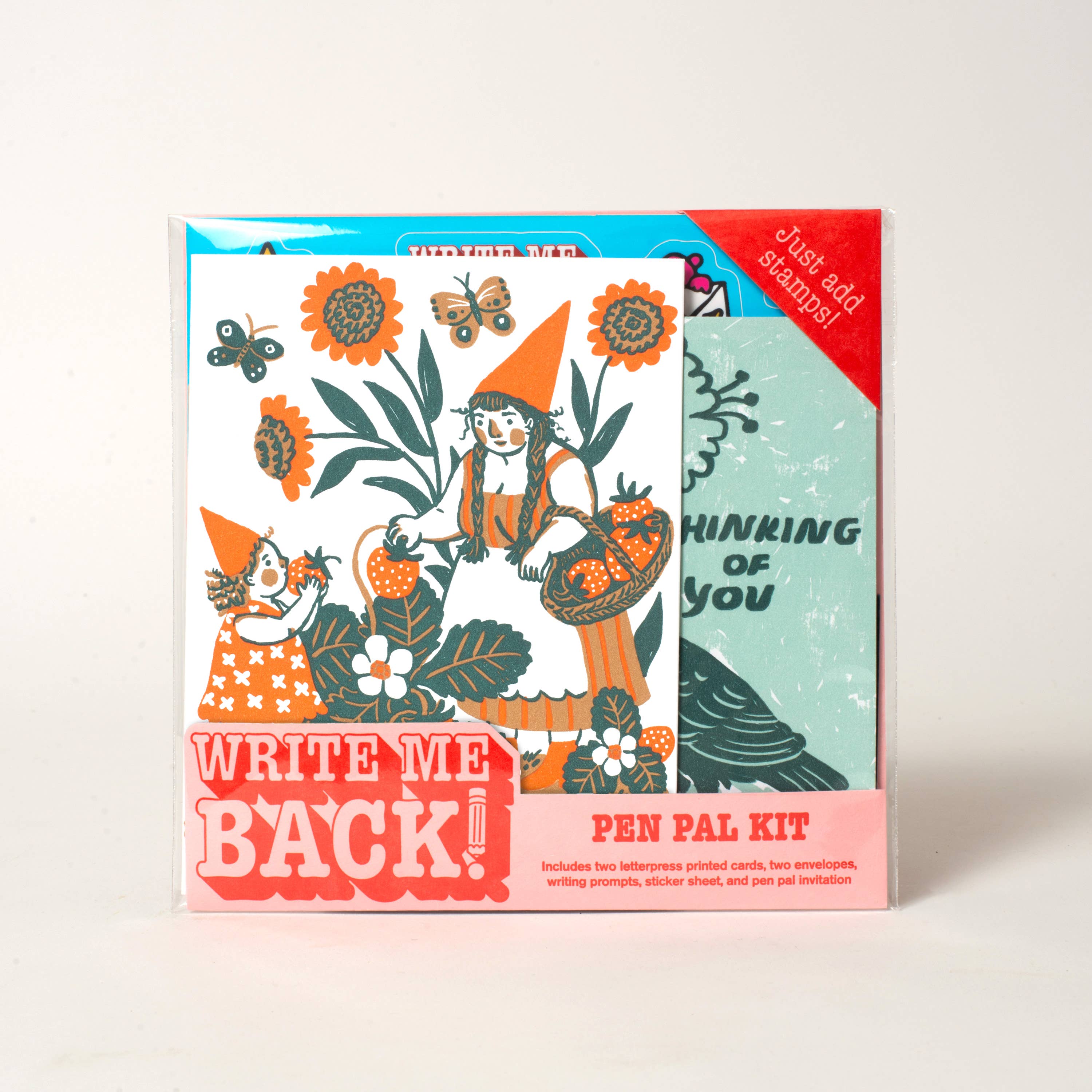 Strawberry + Crow Pen Pal Kit  - DIGS