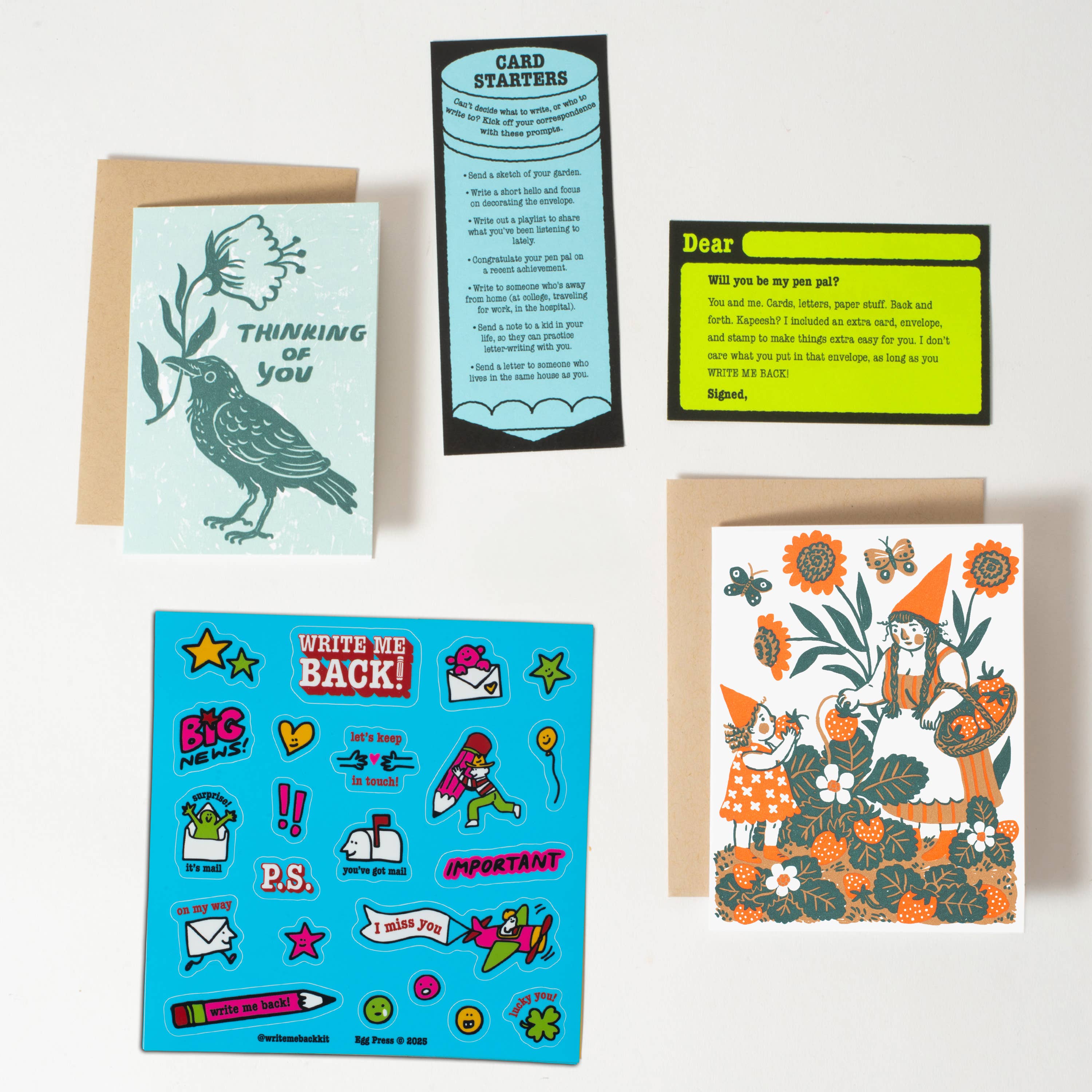 Strawberry + Crow Pen Pal Kit  - DIGS