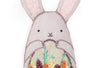 Stuffed Bunny Embroidery Kit - DIGS