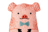 Stuffed Pig Embroidery Kit - DIGS