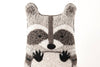Stuffed Raccoon Embroidery Kit - DIGS