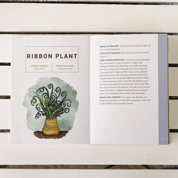 Succulents: An Illustrated Field Guide - DIGS