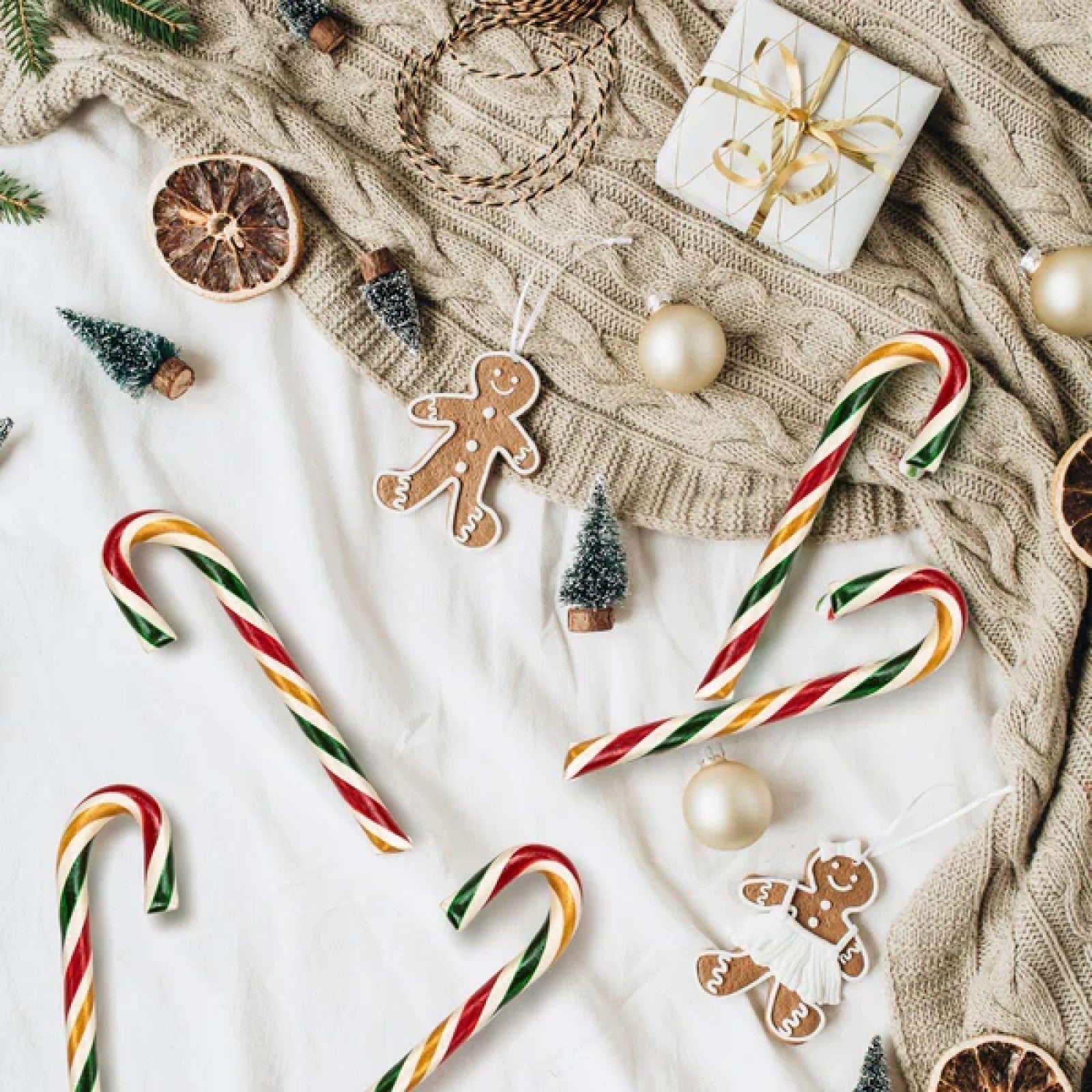 Sugar Cookie Candy Cane filled w/ Cream - DIGS