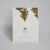 Take the Plunge Birthday Card - DIGS