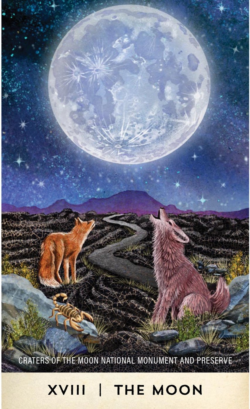 Tarot for the Great Outdoors - DIGS