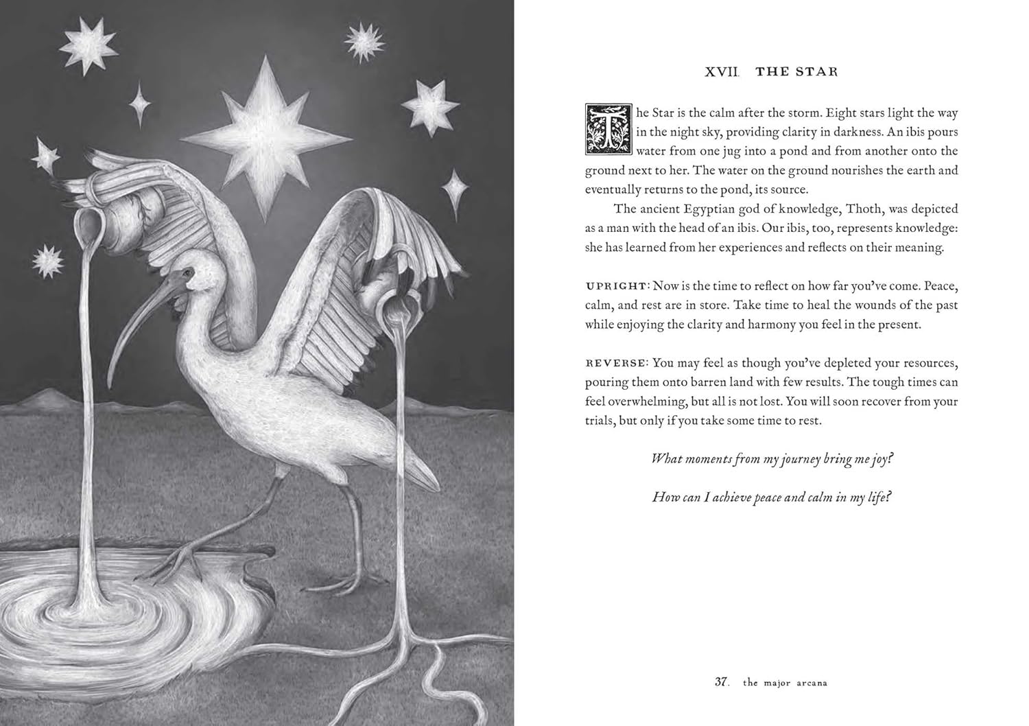 Tarot of the Woodland Wardens - DIGS