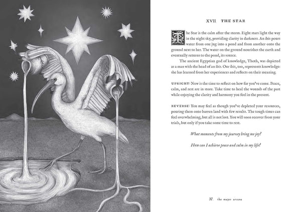 Tarot of the Woodland Wardens - DIGS