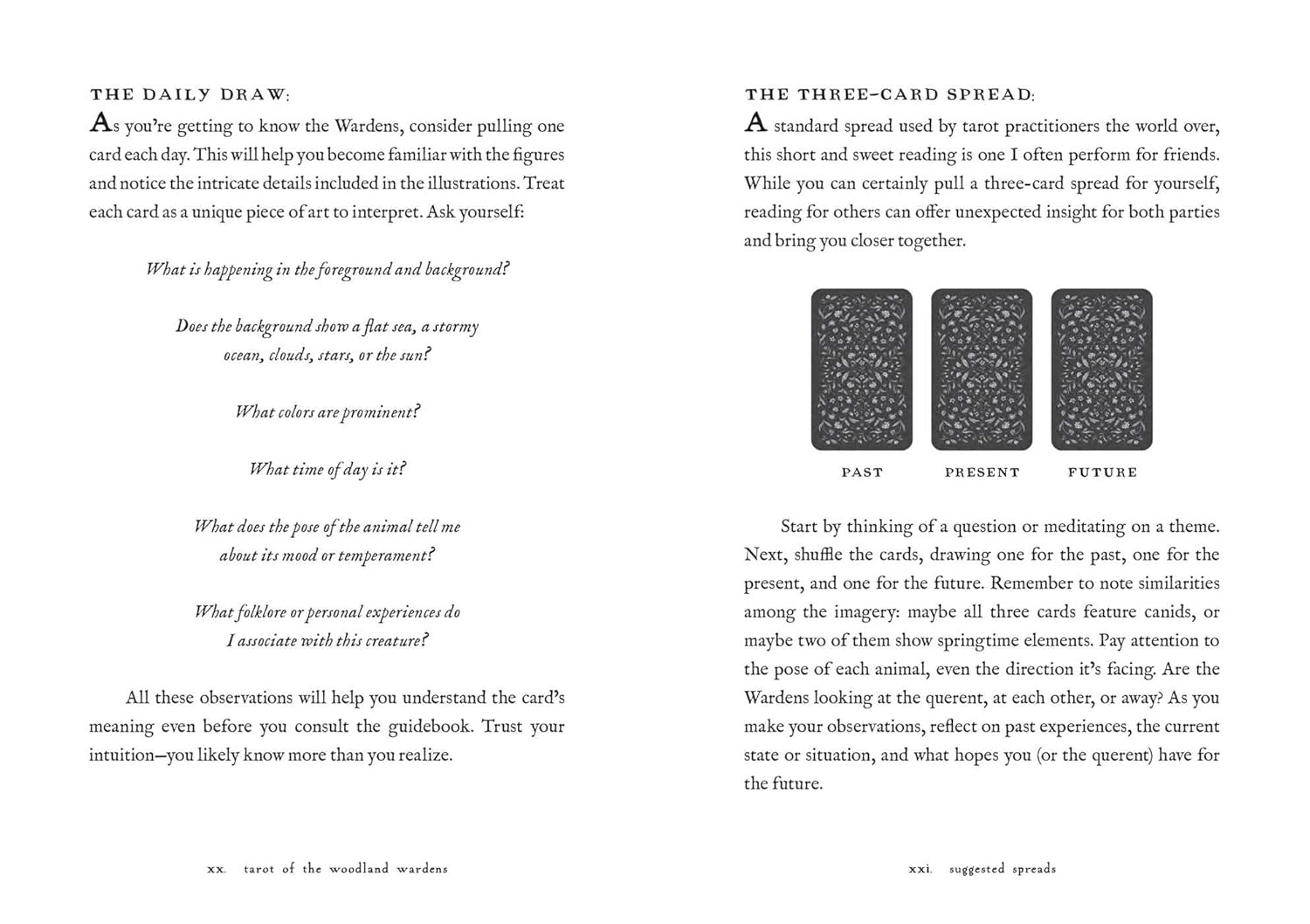 Tarot of the Woodland Wardens - DIGS