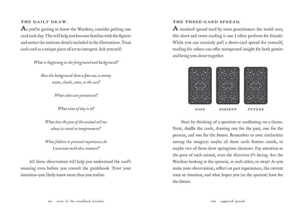 Tarot of the Woodland Wardens - DIGS