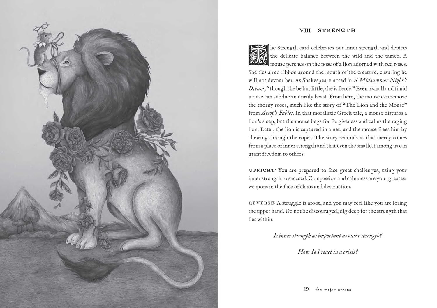 Tarot of the Woodland Wardens - DIGS